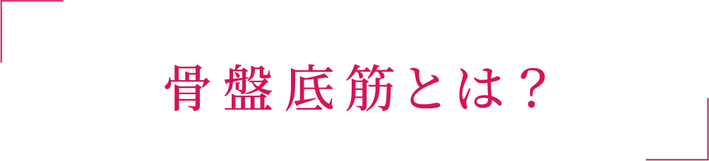 骨盤底筋とは？