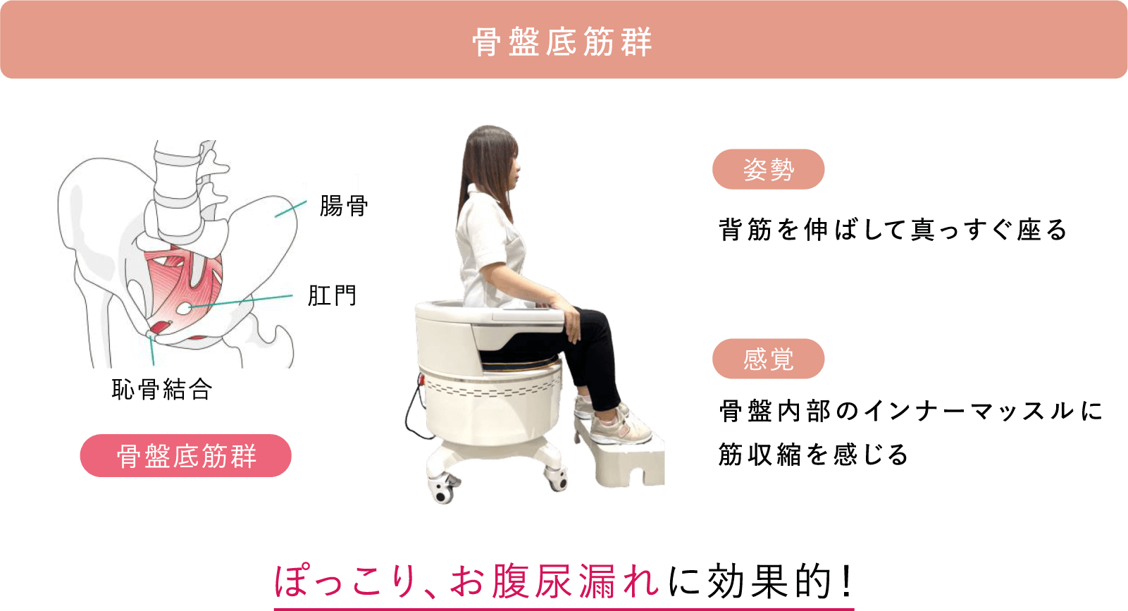 骨盤底筋群